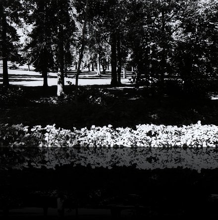 Parc somewhere